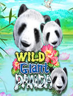 วิธีเล่น เกมส์ สล็อต 777เล่น pg หน้า เว็บ สำหรับทุกคน